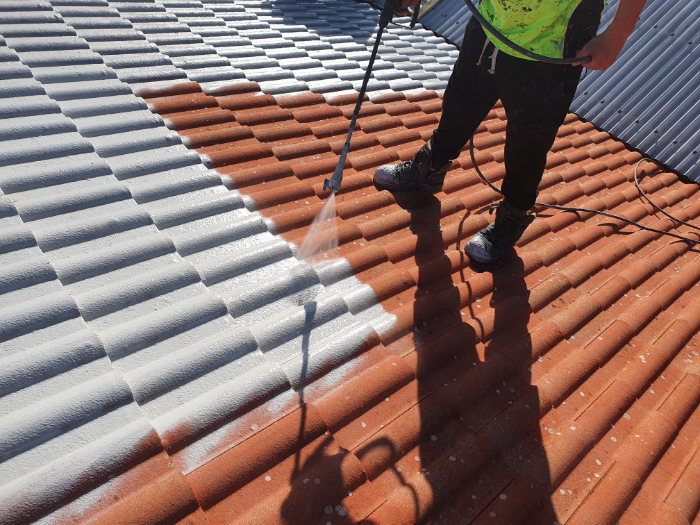 roof-painting